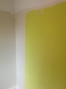 The paint looks like an apple colour before it dries